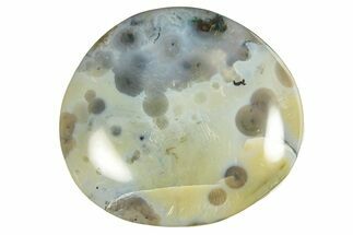 Polished Ocean Jasper Stone - New Deposit #248269