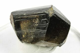 Translucent Cassiterite Crystal - Viloco Mine, Bolivia #249634