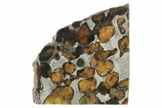 Polished Sericho Pallasite Meteorite ( g) Slice - Kenya #249898