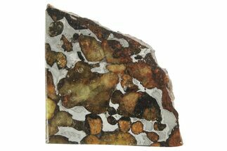 Polished Sericho Pallasite Meteorite ( g) Slice - Kenya #249899