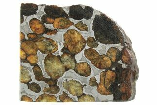 Polished Sericho Pallasite Meteorite ( g) Slice - Kenya #249901