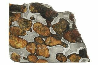 Polished Sericho Pallasite Meteorite ( g) Slice - Kenya #249905
