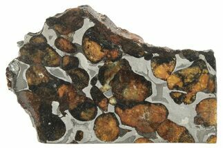 Polished Sericho Pallasite Meteorite ( g) Slice - Kenya #249906