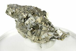 Striated, Cubic Pyrite Crystals - Peru #250270