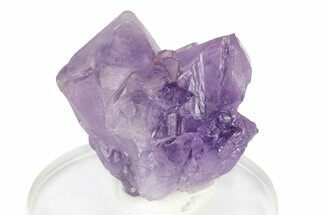 Deep Purple, Amethyst Crystal Cluster - Madagascar #250403