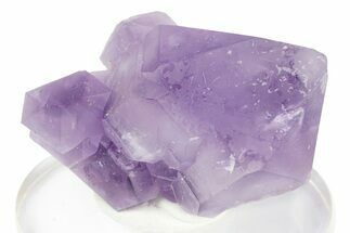 Deep Purple, Amethyst Crystal Cluster - Madagascar #250419