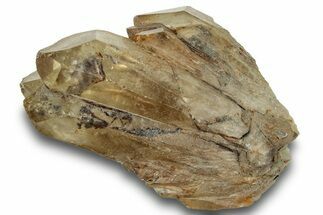 Smoky Citrine Crystal - Lwena, Congo #251334