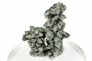 Glittering Marcasite Crystal Stalactites - Linwood Mine #251559