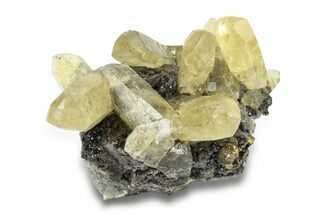 Yellow Calcite Crystals and Pyrite on Dolomite - Missouri #252161