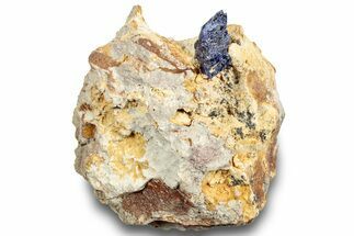 Lustrous Azurite Crystal on Matrix - Morocco #253454