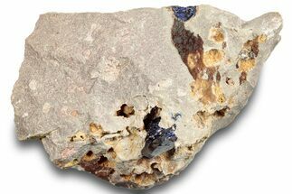 Lustrous Azurite Crystal on Matrix - Morocco #253455