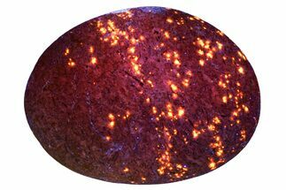 Highly Fluorescent Yooperlite Pebble - Michigan #253907