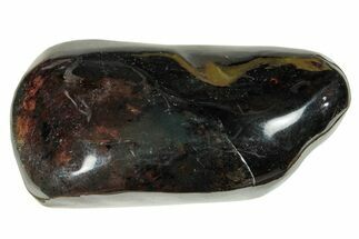 Polished Chiapas Amber ( g) - Mexico #253850