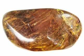 Polished Chiapas Amber ( g) - Mexico #253873