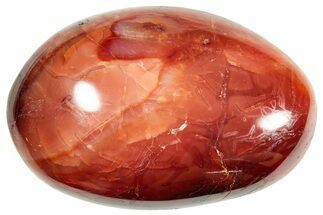 Colorful, Polished Carnelian Agate Palm Stone - Madagascar #250787