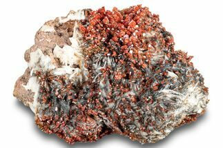 Ruby Red Vanadinite Crystals on Black & White Barite - Top Quality #253388