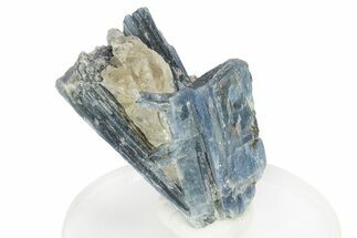 Vibrant Blue Kyanite Crystals In Quartz - Brazil #255005
