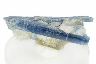 Vibrant Blue Kyanite Crystals In Quartz - Brazil #255012