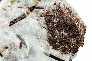 Golden-Brown, Radiating Astrophyllite - Kola Peninsula, Russia #255085