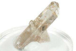 Glassy Rutilated Quartz Crystal - Brazil #255454