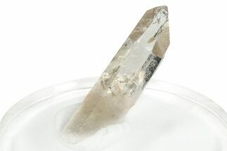 Glassy Rutilated Quartz Crystal - Brazil #255462