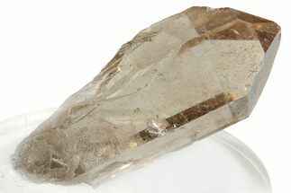 Glassy Smoky Quartz Crystal - Brazil #255469