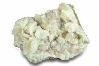 Green, Bladed Prehnite Crystals with Quartz - Morocco #255512