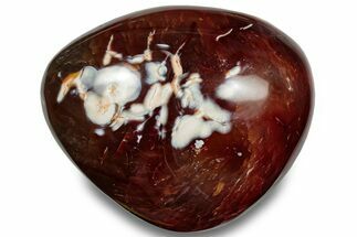 Deep Red, Polished Carnelian Agate Palm Stone - Madagascar #256381