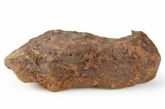 Chondrite Meteorite ( g) - Western Sahara Desert #256571