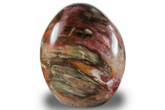 Free-Standing, Polished Petrified Wood - Madagascar #256725