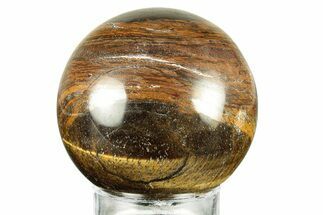 Polished Tiger's Eye Sphere #241660