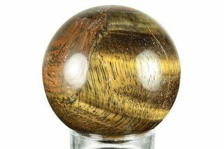 Polished Tiger's Eye Sphere #241676