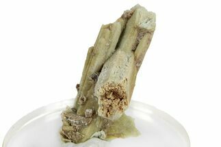 Sage-Green Plumbogummite After Pyromorphite -Yangshuo Mine, China #257045