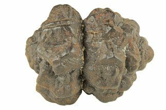 Goethite (Limonite) Pseudomorph after Pyrite/Marcasite - Egypt #257301