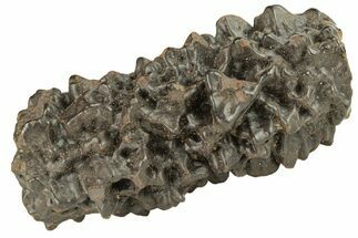 Goethite (Limonite) Pseudomorph after Pyrite/Marcasite - Egypt #257309