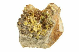 Bright Yellow Wulfenite on Dolomite - Morocco #258053