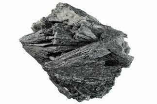 Intricate Black Kyanite Crystals - Brazil #257916