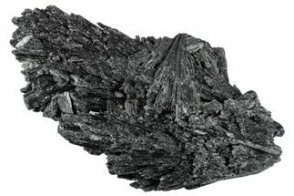 Intricate Black Kyanite Crystals - Brazil #257938