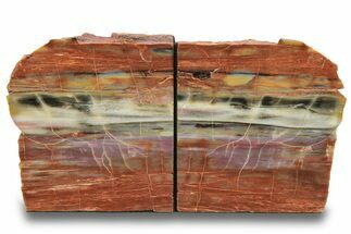 Tall Arizona Petrified Wood Bookends - Rainbow Colors! #258343