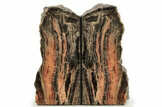 Tall Arizona Petrified Wood Bookends - Beautiful Colors! #258346