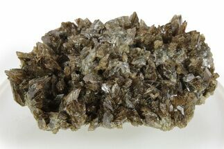 Lustrous Axinite Crystal Cluster - Dalnegorsk, Russia #259014