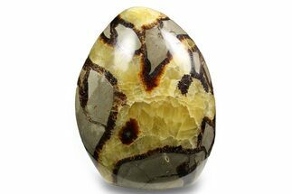 Free-Standing, Polished Septarian - Madagascar #258637