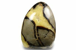 Free-Standing, Polished Septarian - Madagascar #258641