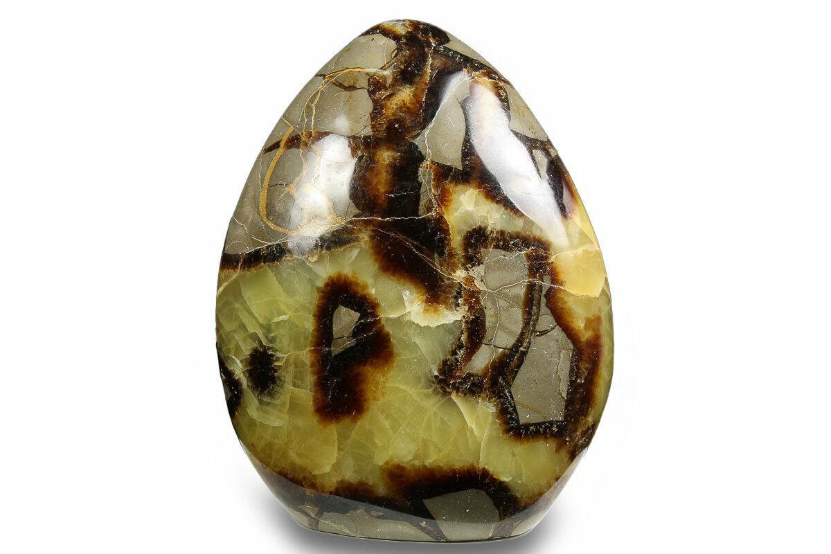 Septarian Form 4.85