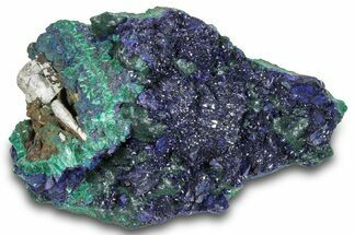 Lustrous Azurite Crystals with Fibrous Malachite - China #259662