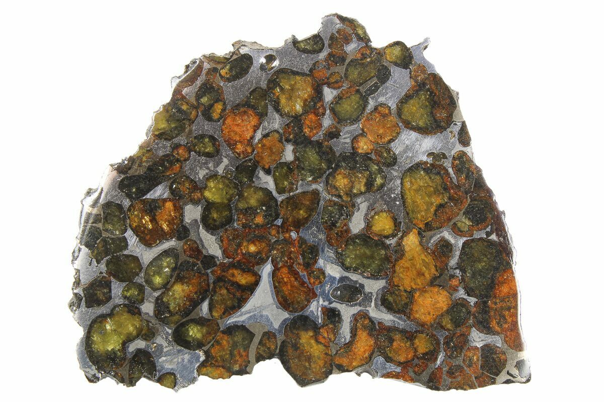 sericho pallasite meteorite sale