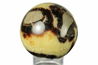 Polished Septarian Sphere - Madagascar #260023