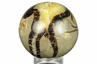 Polished Septarian Sphere - Madagascar #260025