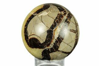 Polished Septarian Sphere - Madagascar #260033