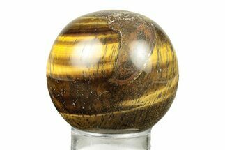 Polished Tiger's Eye Sphere #241610
